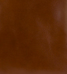 Patricia Nash Lanza Crossbody Organizer - Heritage