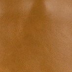 Patricia Nash Noella Tote - Cavo Tooled Applique