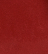 Patricia Nash Chiavella Phone Crossbody - Vintage | Patricia Nash Designs