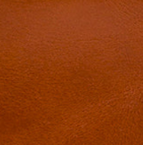 Patricia Nash Chiavella Phone Crossbody - Vintage | Patricia Nash Designs