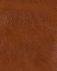 Patricia Nash Leontine Crossbody - Rugged Natural Grain