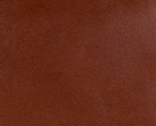 Patricia Nash Bolsena Tote - Heritage