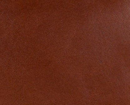 Patricia Nash Bolsena Tote - Heritage