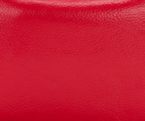 Patricia Nash Sofia Frame - Rugged Natural Grain
