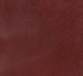 Patricia Nash Serafina Large Frame Bag - Rugged Natural Grain Leather