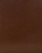 Patricia Nash Lunel Wallet - Vintage Distressed
