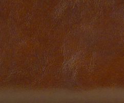 Patricia Nash Busalla Wallet - Vintage Distressed | Patricia Nash Designs