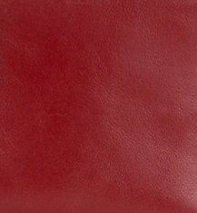 Patricia Nash Cassis ID Case - Vintage Distressed Leather