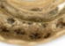 Patricia Nash Double Circle Necklace - Hammered