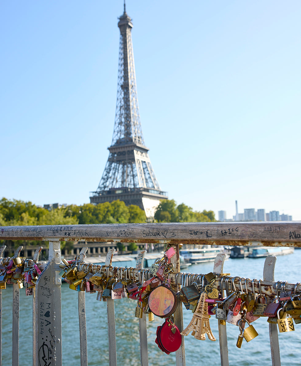 Patricia Nash Macaroon Zip Around Bag Charm - Paris Map