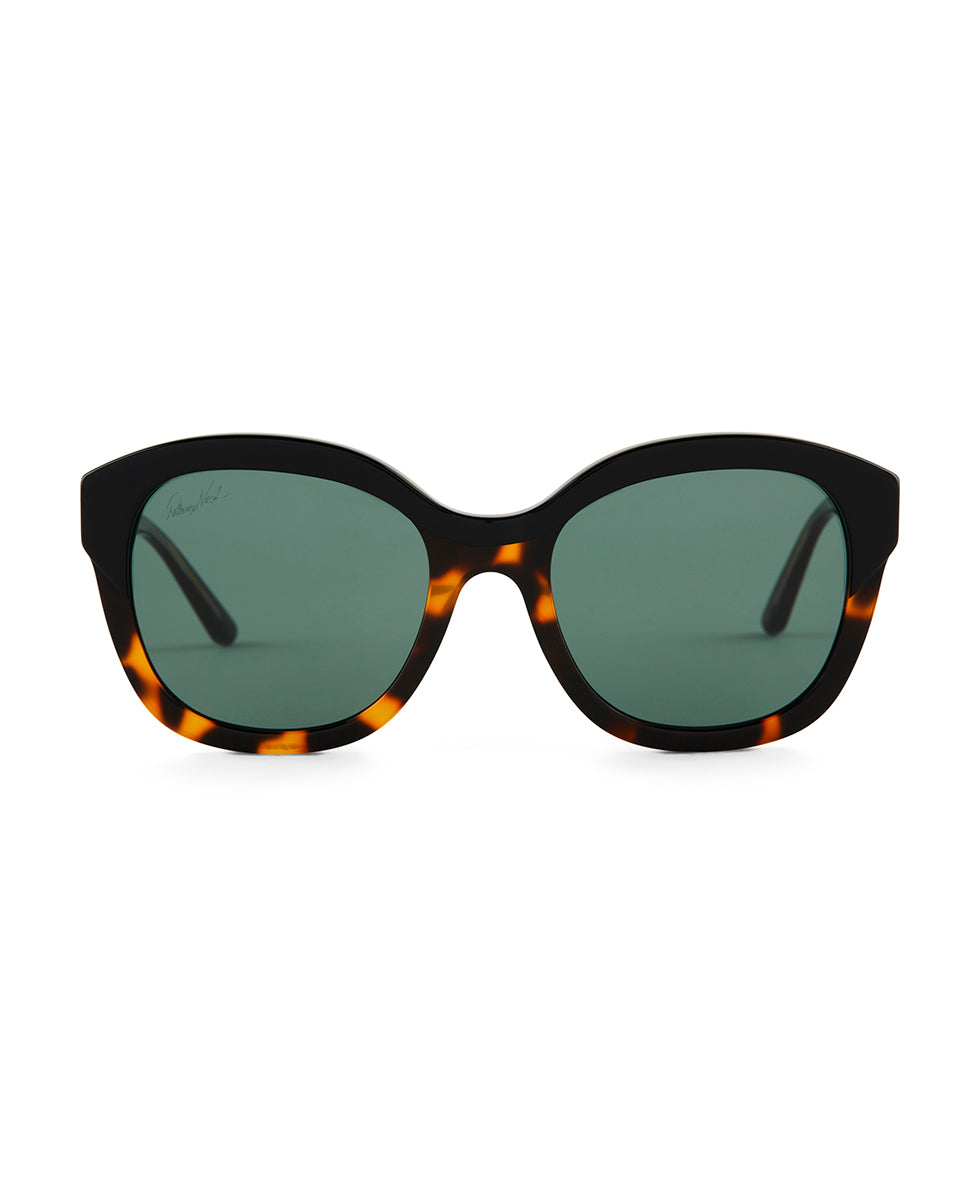 Patricia Nash Hutton Sunglasses - Tortoise/Black