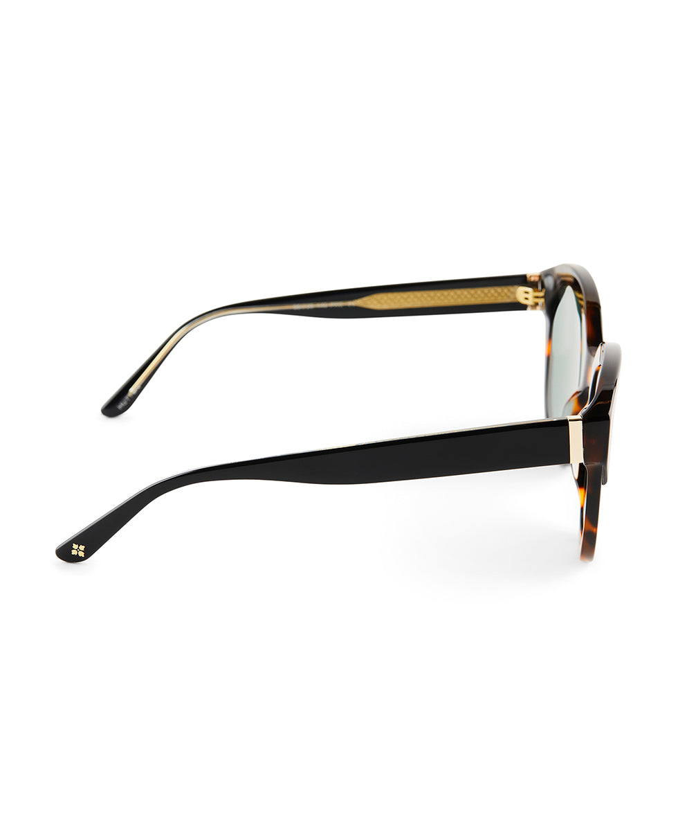 Patricia Nash Hutton Sunglasses - Tortoise/Black