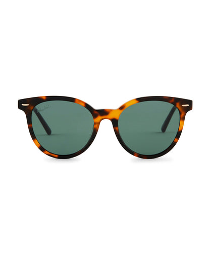 Patricia Nash Blondie Sunglasses - Tortoise