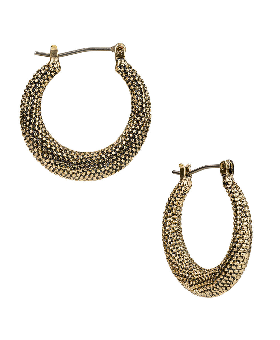Patricia Nash Gypsy Hoop Earrings | Caviar Collection | Antique Gold