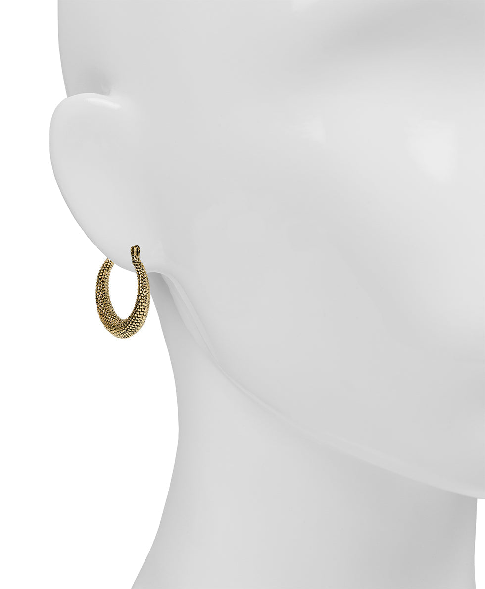 Patricia Nash Gypsy Hoop Earrings | Caviar Collection | Antique Gold